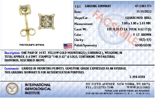 Orecchini a perno a 4 punte in oro giallo 14 carati con diamanti naturali Princess da 5/8 ct, colore marrone (colore marrone, purezza SI2-I1) - Friggin Jewelry