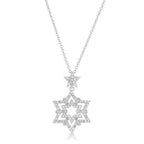 Classic Line Sculpted Edit Stella 0.3ct CZ Rhodium Star Drop Necklace - Friggin Jewelry Fashion